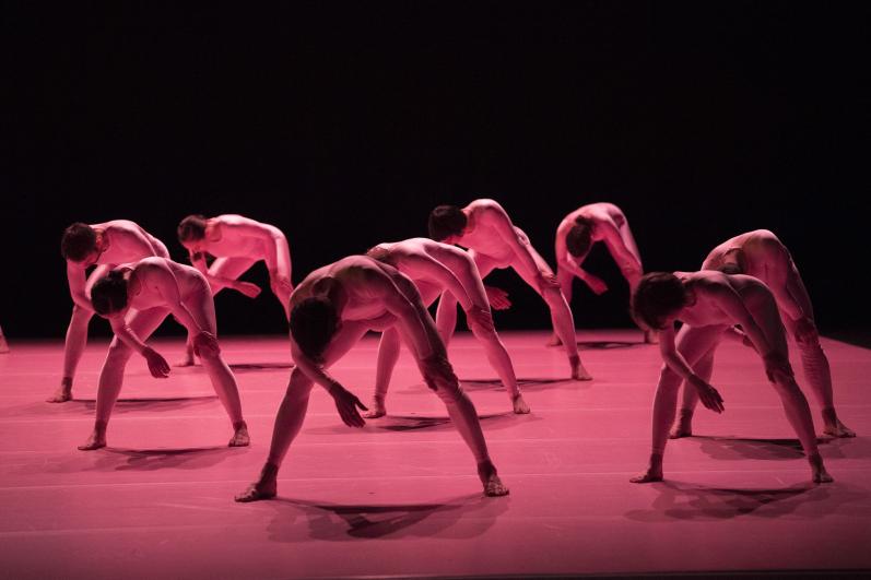 Come out, Compagnie Olivier Dubois